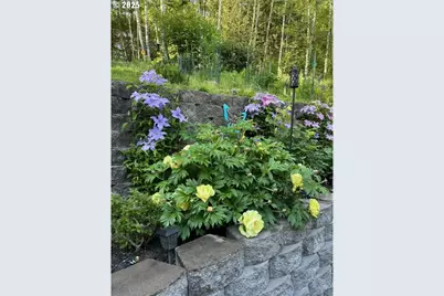 251 Mystery Dr, Amboy, WA 98601 - Photo 28