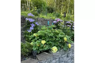 251 Mystery Dr, Amboy, WA 98601 - Photo 28