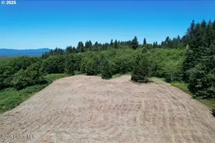 92768 Pearson Rd, Astoria, OR 97103 - Photo 8