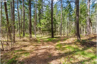 2000 Paradise Ridge Rd, Mosier, OR 97040 - Photo 48