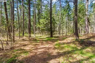 2000 Paradise Ridge Rd, Mosier, OR 97040 - Photo 48