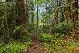 71046 E Salmonberry Rd, Rhododendron, OR 97049 - Photo 20