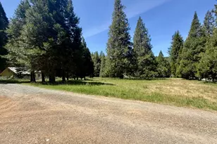 301 Humphrey Addition Rd, Glendale, OR 97442 - Photo 8
