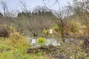 11990 SW Corby Dr, Portland, OR 97225 - Photo 30