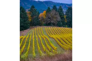 10660 SW Youngberg Hill Rd, McMinnville, OR 97128 - Photo 44