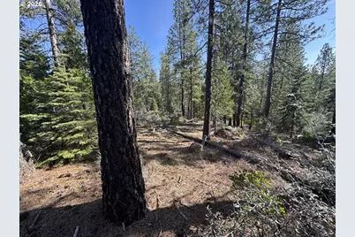 Cardinal Drive #4, Bonanza, OR 97623 - Photo 12