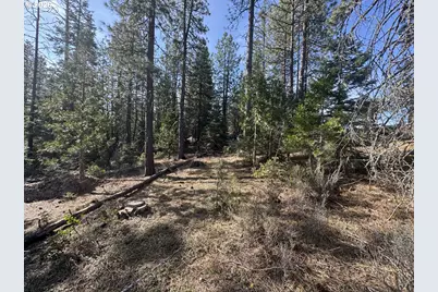 Cardinal Drive #4, Bonanza, OR 97623 - Photo 1