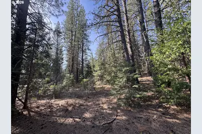 Cardinal Drive #4, Bonanza, OR 97623 - Photo 26