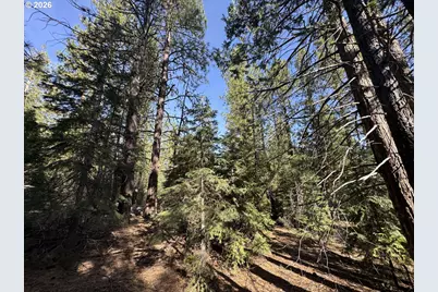 Cardinal Drive #4, Bonanza, OR 97623 - Photo 30