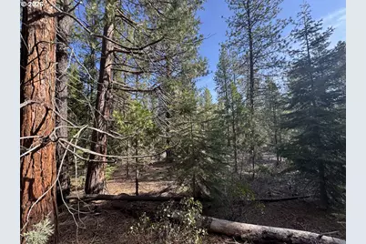 Cardinal Drive #4, Bonanza, OR 97623 - Photo 34