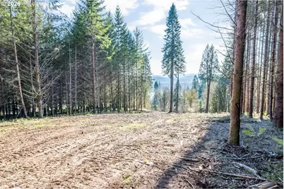 0 Bunker Hill Rd #B, Longview, WA 98632 - Photo 12