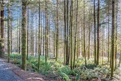 0 Bunker Hill Rd #B, Longview, WA 98632 - Photo 10