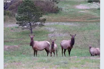 00 Pinehurst Rd #38, Gearhart, OR 97138 - Photo 12