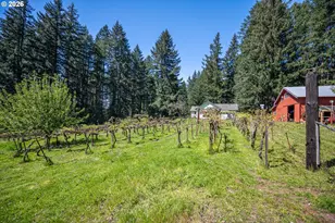 40168 Booth Kelly Rd, Springfield, OR 97478 - Photo 32