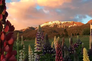 61687 Lime Quarry Rd, Enterprise, OR 97828 - Photo 38