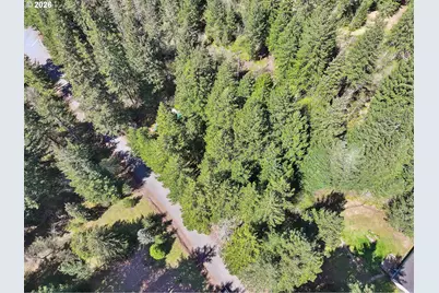 51 Foster Rd, Carson, WA 98610 - Photo 44