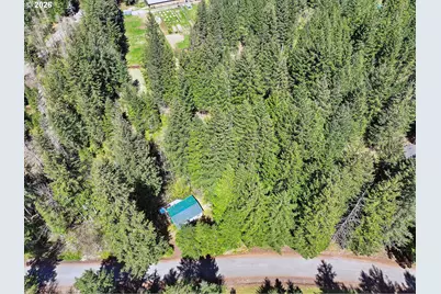 51 Foster Rd, Carson, WA 98610 - Photo 42