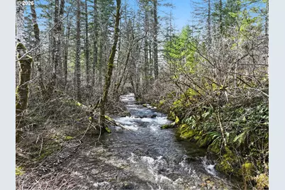 51 Foster Rd, Carson, WA 98610 - Photo 40