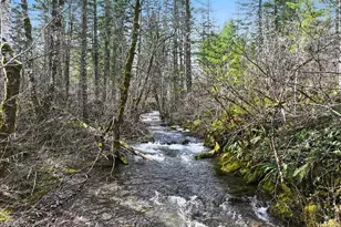 51 Foster Rd, Carson, WA 98610 - Photo 40