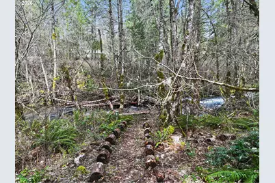 51 Foster Rd, Carson, WA 98610 - Photo 38