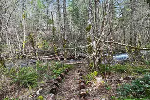 51 Foster Rd, Carson, WA 98610 - Photo 38