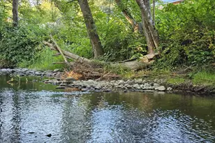 149 Beaver Ln, Canyonville, OR 97417 - Photo 4