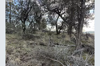 Prarie Dog Dr #13 POR, Bonanza, OR 97623 - Photo 14