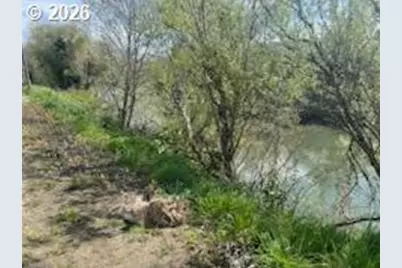 54210 Old Broadbent Rd, Myrtle Point, OR 97458 - Photo 6