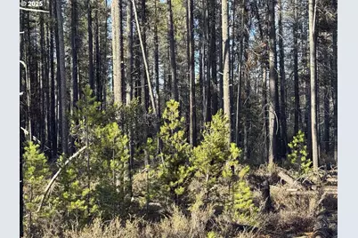 Artesian Dr #6, Chiloquin, OR 97624 - Photo 2