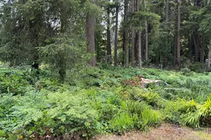 750 5th St, Gearhart, OR 97138 - Photo 14