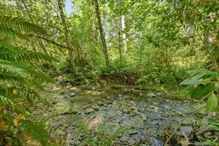 1160 Louis Creek Rd, Myrtle Creek, OR 97457 - Photo 34