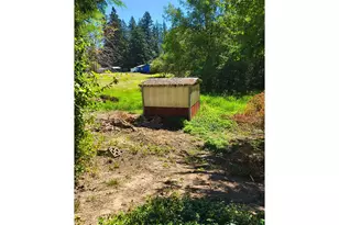 57510 S Morse Rd, Warren, OR 97053 - Photo 6