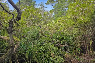 Wood Lake Way, Florence, OR 97439 - Photo 20