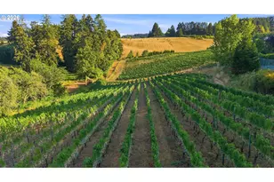 21360 SW Hillsboro Hwy, Newberg, OR 97132 - Photo 30