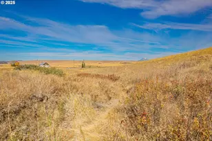 1602 Centerville Hwy, Centerville, WA 98613 - Photo 24