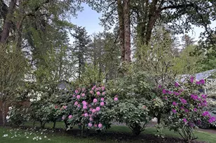 17691 SW Pointe Forest Ct, Beaverton, OR 97003 - Photo 26