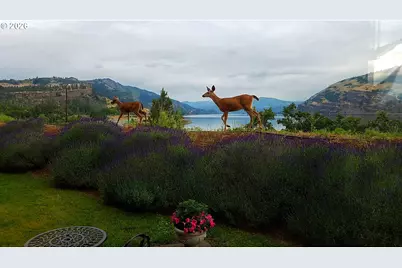 14 Mosier Creek Pl, Mosier, OR 97040 - Photo 18