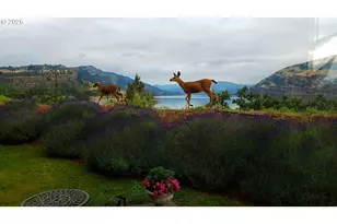 14 Mosier Creek Pl, Mosier, OR 97040 - Photo 18