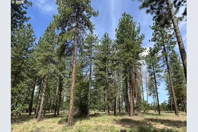 455 Old Mountain Rd, Goldendale, WA 98620 - Photo 34