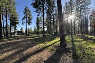 455 Old Mountain Rd, Goldendale, WA 98620 - Photo 46
