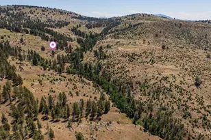N Hwy 395, Mount Vernon, OR 97865 - Photo 26