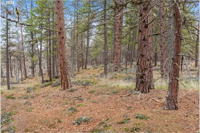 Nka Little Oak Ln #2, Goldendale, WA 98620 - Photo 4