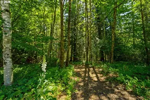 40309 NE Miller Rd, Washougal, WA 98671 - Photo 42