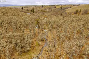 12 Mount Adams View Rd, Lyle, WA 98635 - Photo 42