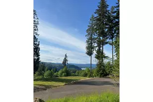 126 Sugar Pine Pl, Mossyrock, WA 98564 - Photo 8