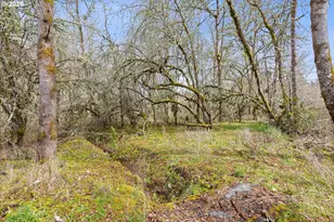 32010 SE Hinman Ave, Estacada, OR 97023 - Photo 32