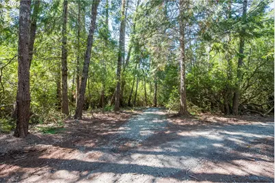 53580 Morrison Rd, Bandon, OR 97411 - Photo 12