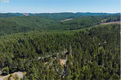 53580 Morrison Rd, Bandon, OR 97411 - Photo 24