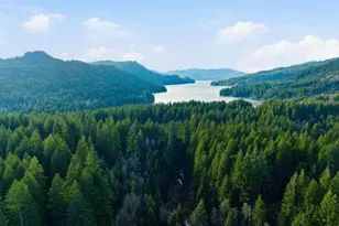 1250 Yale Bridge Rd, Amboy, WA 98601 - Photo 6