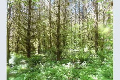 Hockett Rd, Onalaska, WA 98570 - Photo 26